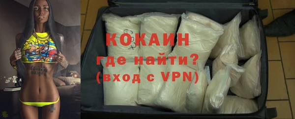 твердый Инта