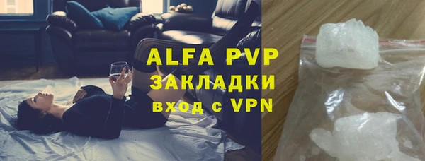 твердый Инта