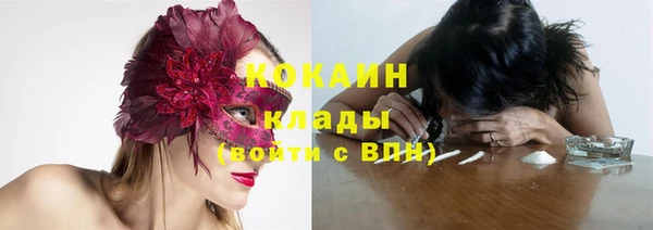 твердый Инта