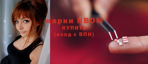 твердый Инта