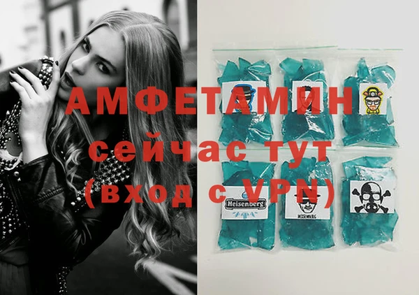 твердый Инта