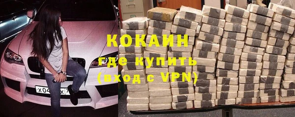твердый Инта