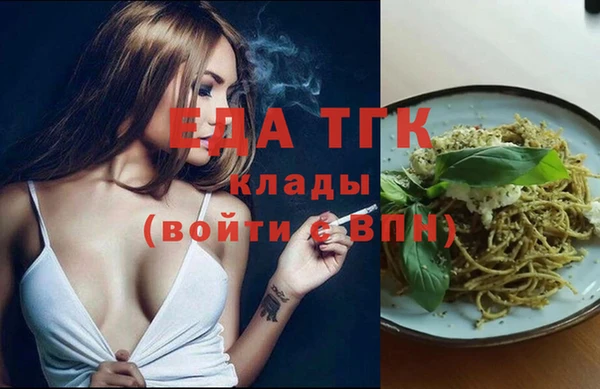 твердый Инта