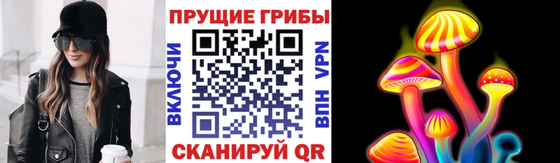 Псилоцибиновые грибы Magic Shrooms  Купить где  Губкин 